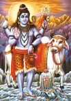 Shiva Nandi Poster 24x36"
